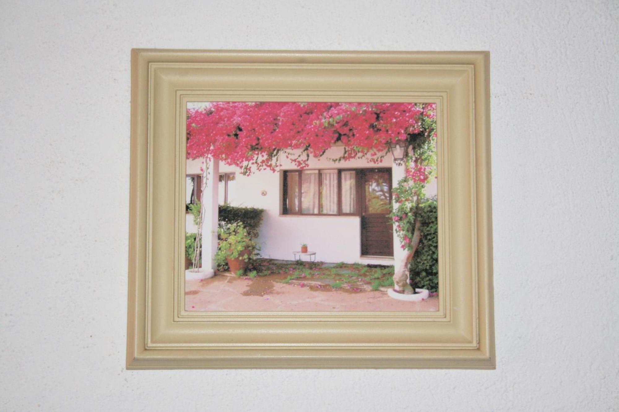 Quinta Da Ameijeira Lagos Habitación foto