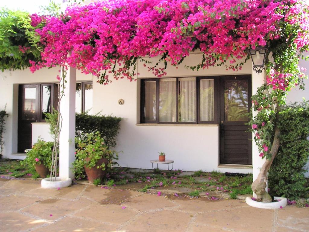 Quinta Da Ameijeira Lagos Habitación foto